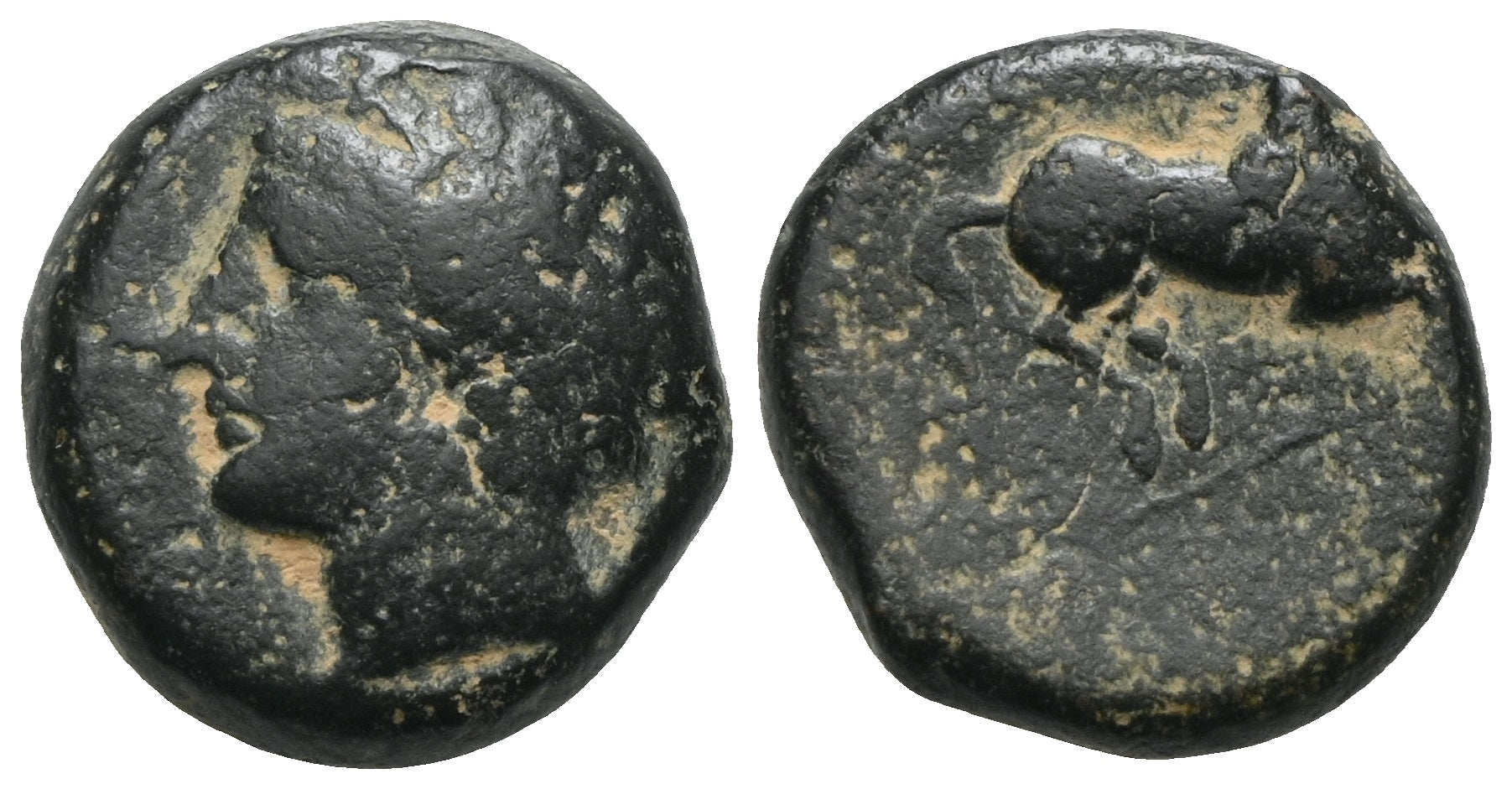 Zeugitana - Bronze 375-350 v. Chr., Karthago
