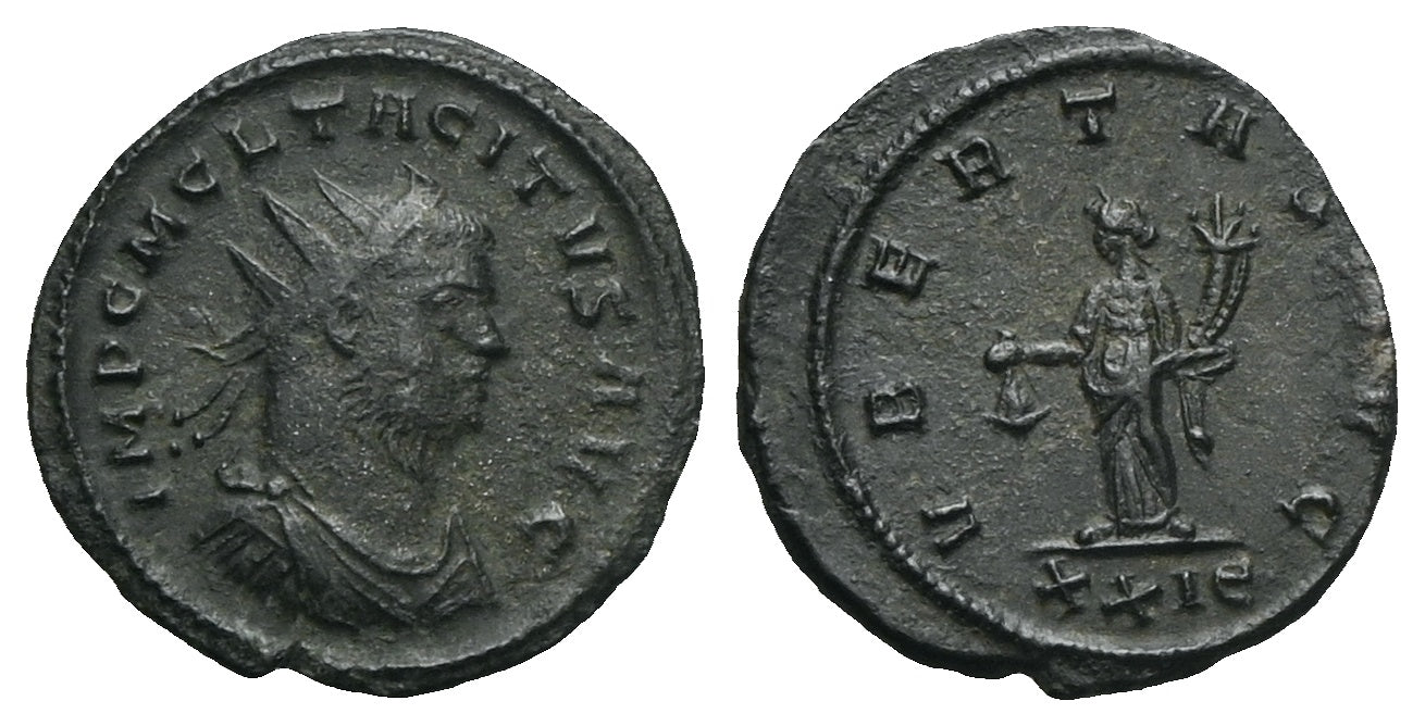 Römische Kaiserzeit - Antoninian 276, Rom