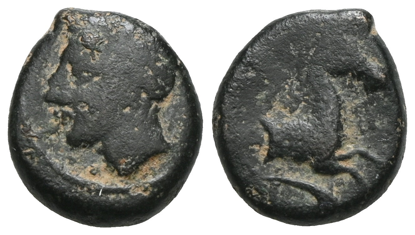 Zeugitana - Bronze 300-264 v. Chr., Karthago