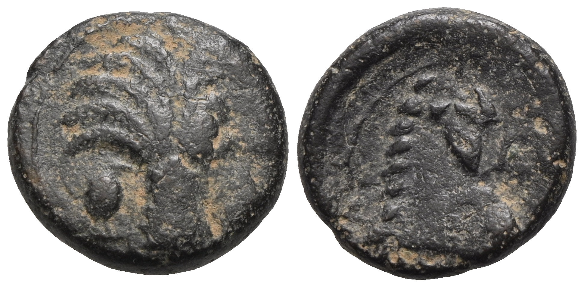 Zeugitana - Bronze spätes 4.-frühes 3. Jh. v. Chr., Karthago