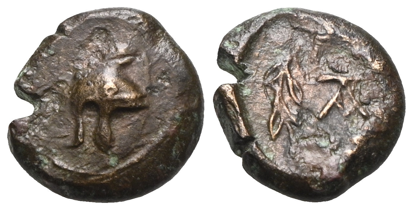 Sicilia - Bronze 2. H. 4. Jh. v. Chr., Kampanoi