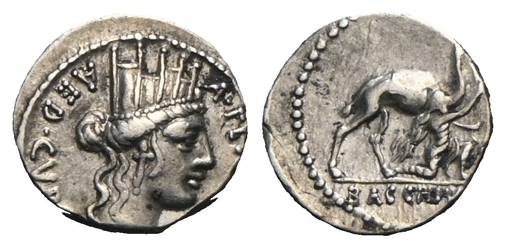 Römische Republik - Denar 55 v. Chr., Rom