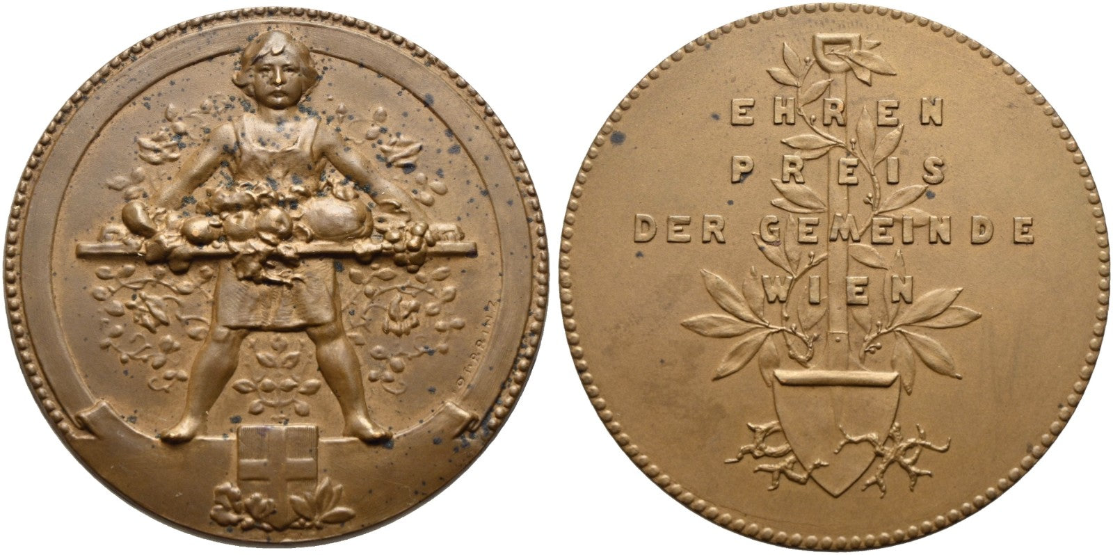 Österreich - AE-Medaille o.J.