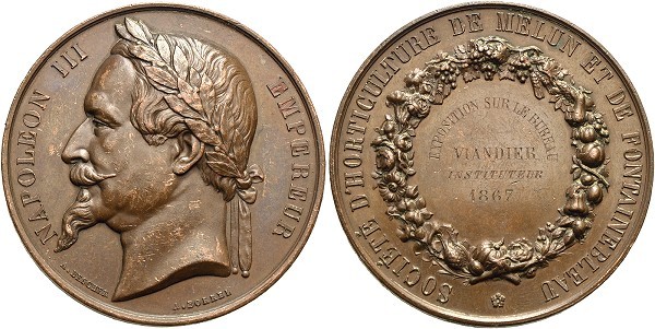 Münze-Frankreich-Napoleon-III-Medaille-1867-VIA12263