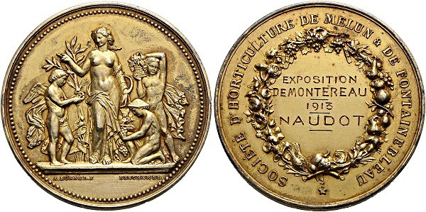Münze-Frankreich-3-Republik-Melun-Fontainebleau-Medaille-1913-VIA12442