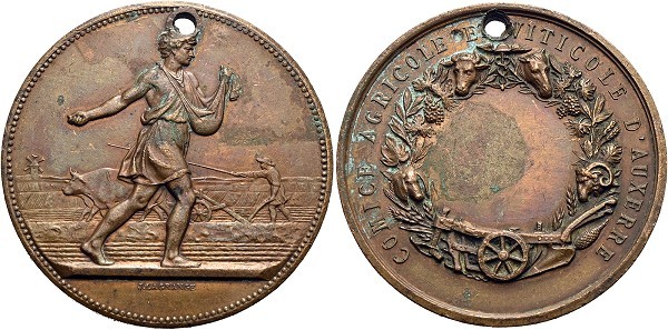 Münze-Frankreich-Auxerre-3-Republik-Medaille-oJ-Comice-Agricole-VIA12335