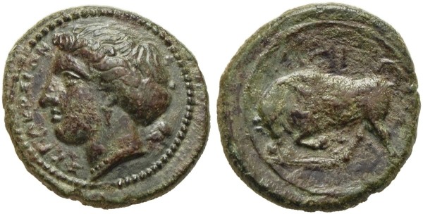 Münze-Sicilia-Syrakus-Agathokles-Bronze-317-310-v-Chr-Arethusa-VIA12559