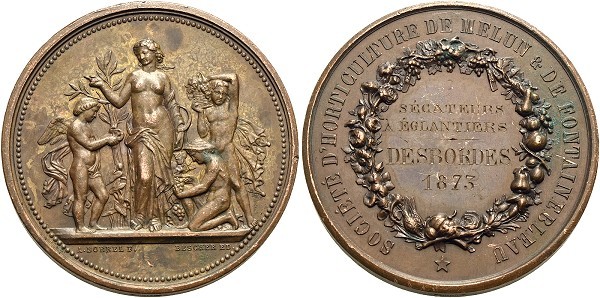 Münze-Frankreich-3-Republik-Melun-Fontainebleau-Medaille-1873-VIA12441
