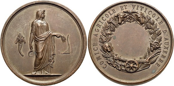 Münze-Frankreich-Auxerre-3-Republik-Medaille-oJ-Comice-Agricole-VIA12333